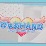 ピュアハンド（pure hand)